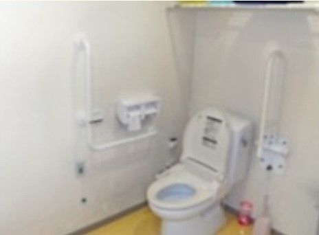 トイレには温水洗浄便座が置かれている。壁にはL字型や縦型の手すりが付いており、立ち座りをサポートしてくれる。