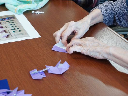 レクリエーション