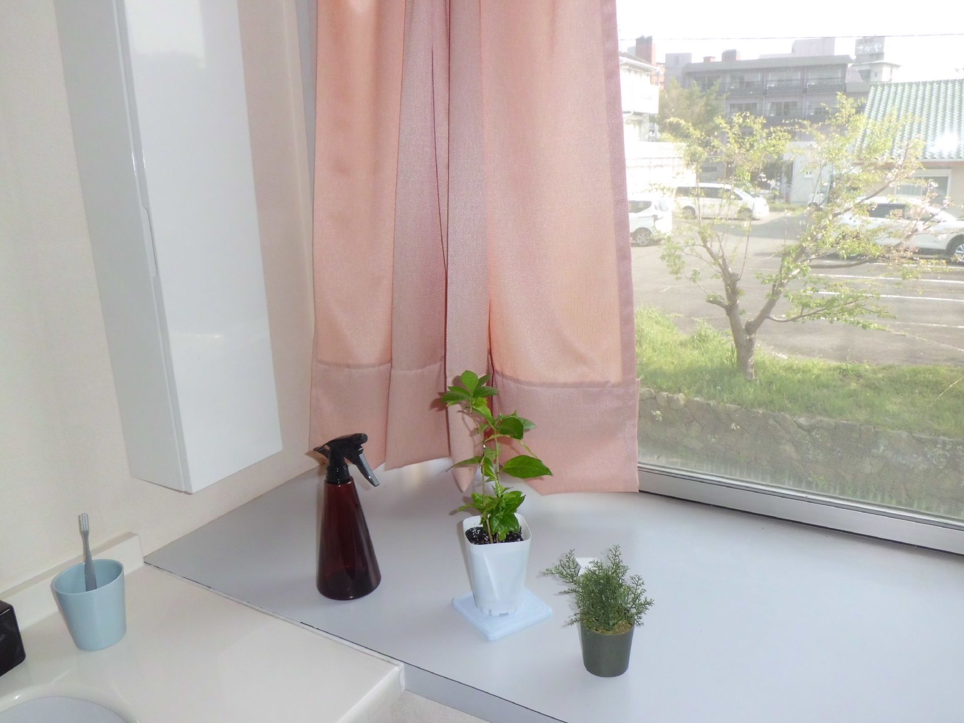 ピンクのカーテンが設置された窓。窓際には観葉植物や霧吹きが置かれ、洗面台には歯ブラシが入ったコップがある。