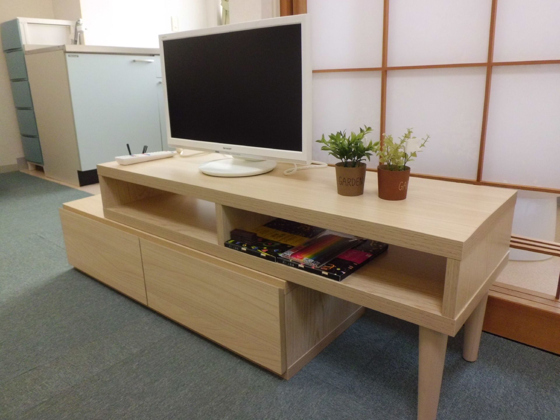 居室にあるスライド式のテレビラックにはテレビや観葉植物が置かれている。奥にはプラスチックの棚なども見える。