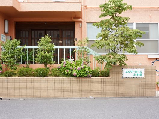 花壇に植えられた花々