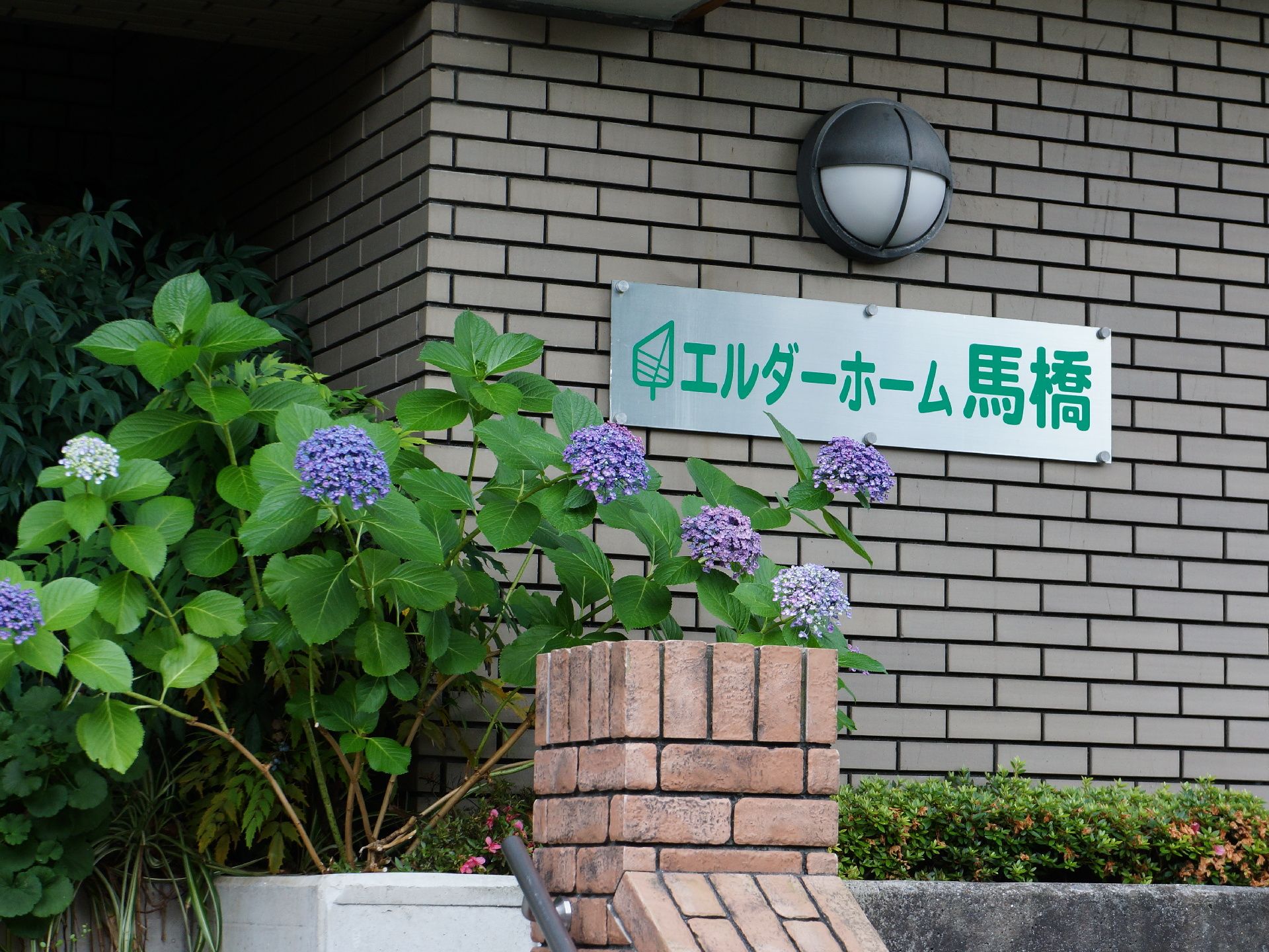 施設名称の書かれたプレートは銀色に光る金属製。周囲には花壇が配置され、きれいにアジサイが咲いている。