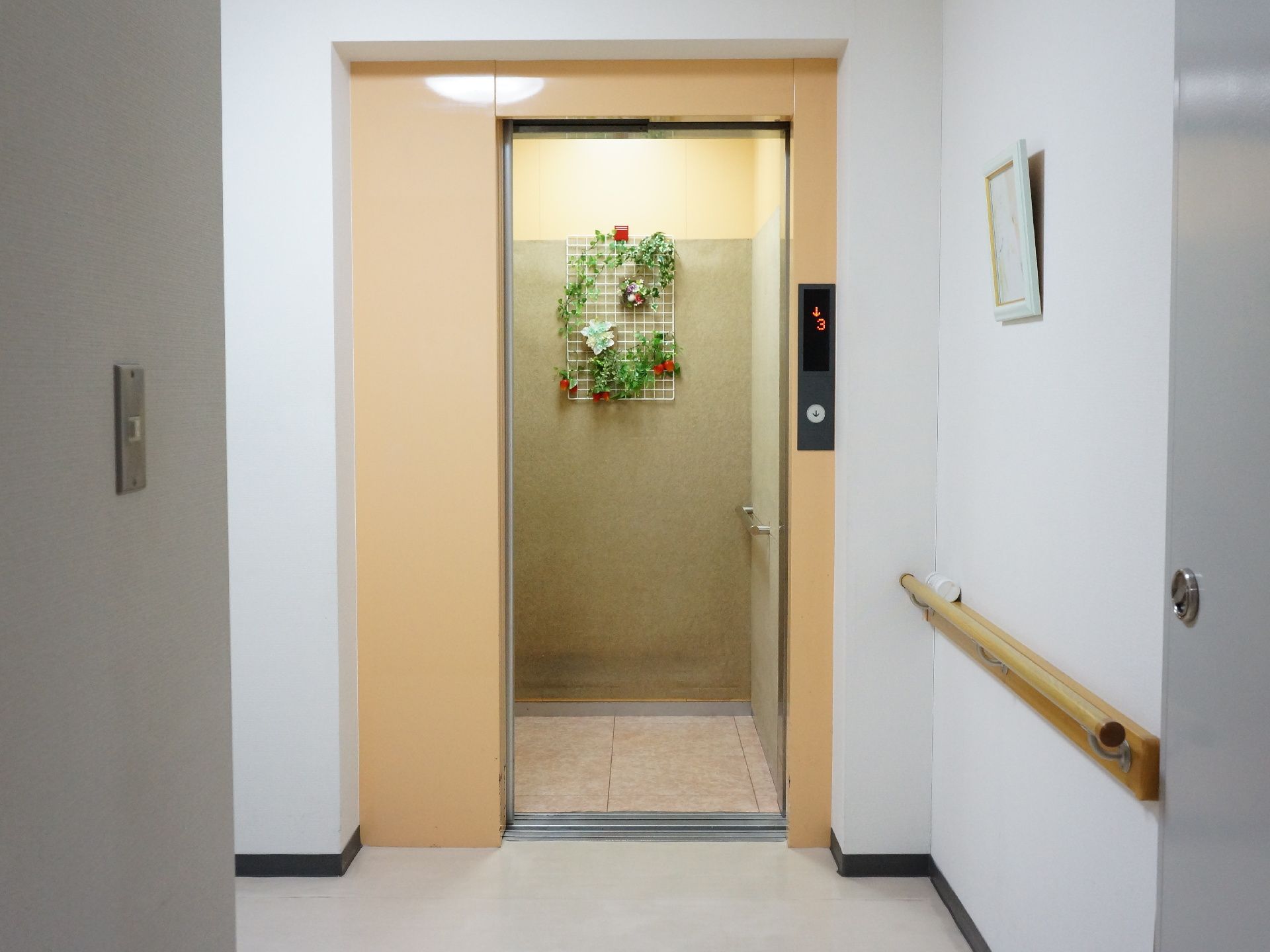 廊下やエレベーターの中の壁などいたるところに手摺りが設置されている。壁には絵画や花飾りなどが飾られて空間を彩っている。