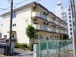 施設の外周はグリーンのワイヤー製のフェンスで仕切られている。建物の近くには植え込みがあり、背の高い樹木がある。