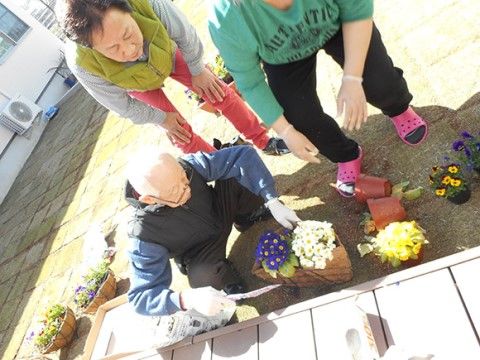 芝生の上にパンジーやジュリアンなどの花鉢が並んでいる。男性の入居者様が軍手を着用し、シャベルを持っておられる。