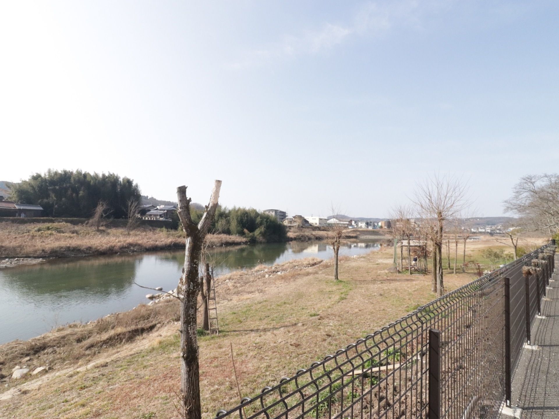 手前に黒色のフェンスが続いている。その向こう側に、河川敷が広がっている。手前には枯れ木が数本あり、川向こうには雑木林がある。