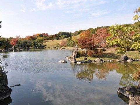 広い池のある庭園。紅葉を感じられる木々が丁寧に管理されている。奥のほうには芝生とたくさんの木が植栽されている。