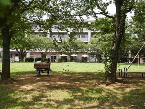 芝生の広場や、枝を広げた大きな木々のある公園。木陰のベンチで休憩する人たちの上に、木漏れ日がやさしく降り注いでいる。