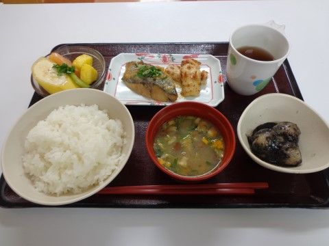 和風のおかずと白飯、味噌汁のメニューにお茶が添えられた食事