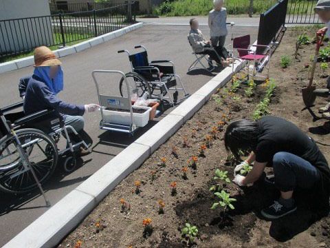施設にある花壇ではスタッフと入居者様が花を植えている。数日後には美しい花々が咲く光景を眺めることができる。