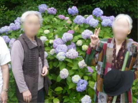 青いアジサイの前でピースサインなどでポーズをとる2人の高齢女性