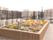 施設屋上には庭園が設けてあり、花壇には花を植えている。花は四季折々の変化を見せ、入居者様を楽しませることができる。