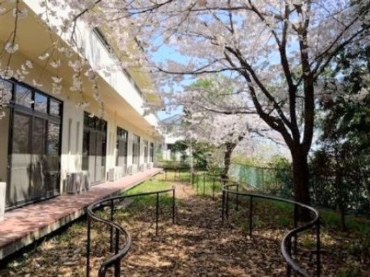 施設内の遊歩道