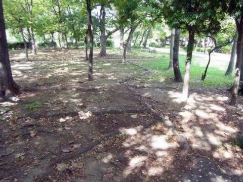 当ホーム付近には公園や木の立ち並ぶ散歩道があり、入居者様には散策や森林浴をお楽しみいただける自然豊かな環境である。