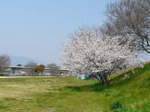 付近の川沿いでは春には桜が咲き乱れ、散策や日光浴などを楽しむことができ、自然に囲まれた環境で四季を感じながら生活できる。