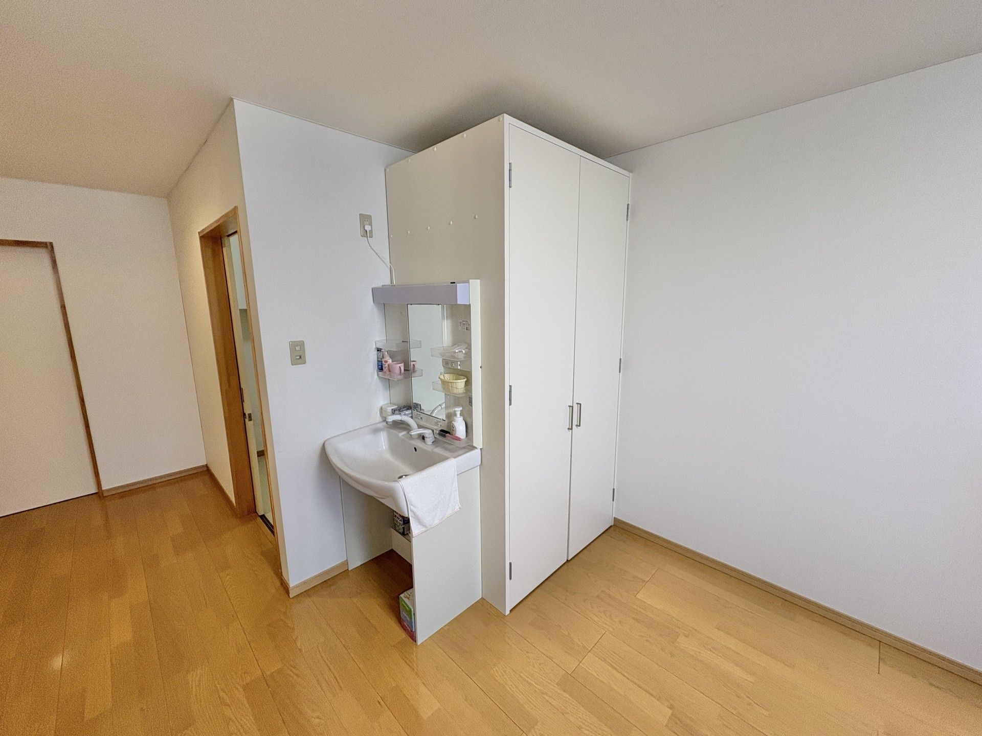 洗面台と収納のある部屋
