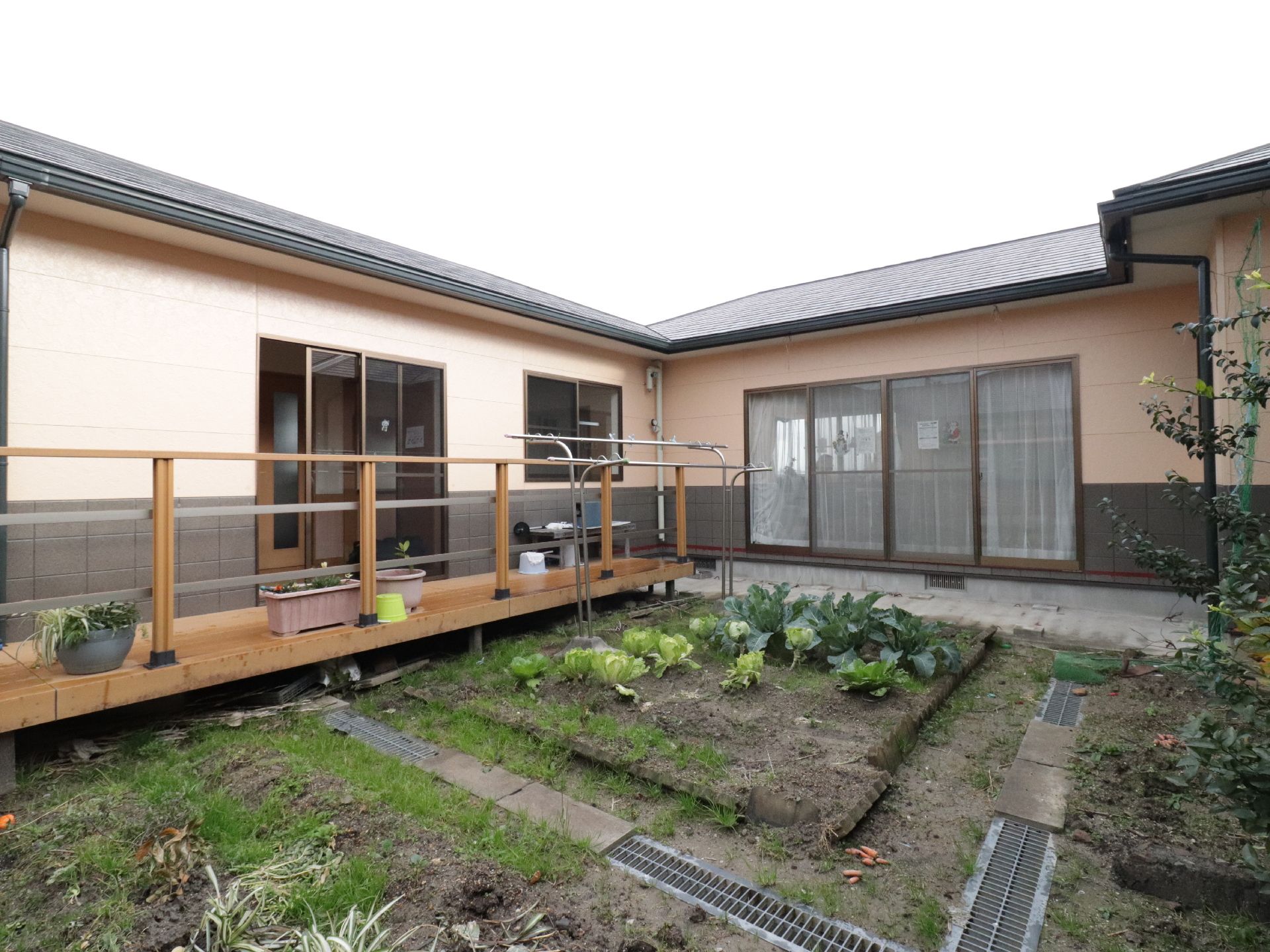 施設には中庭がある。耕された中庭では数種類の葉物野菜を育てている。植木鉢には草木や花が育てられている。