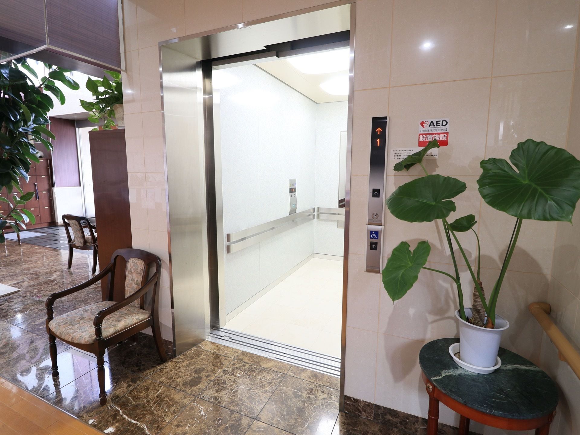 奥行きがあり、鏡がついている。入口には荷物を置ける椅子と、観葉植物が飾られているテーブルが置かれている。