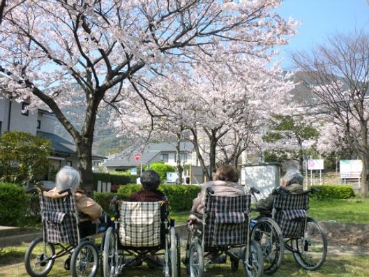 お花見