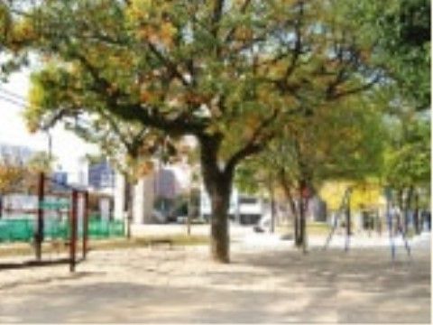 「MYM 1st STAGE」の周辺環境。自然を感じられる、近隣公園も用意されている。