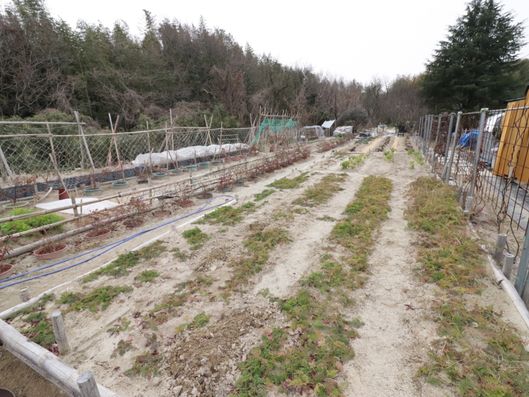 スライドショー