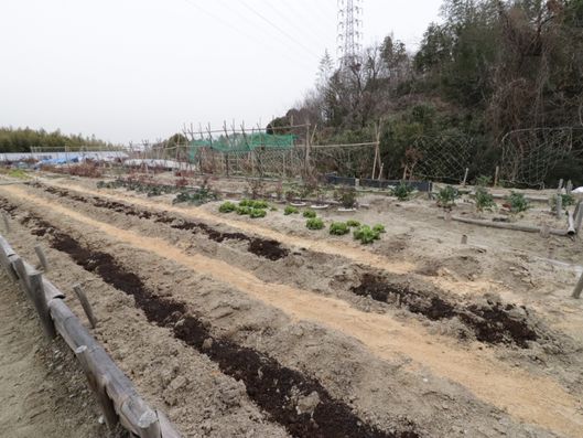 スライドショー