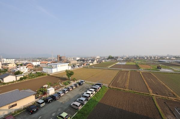 広々とした田園風景