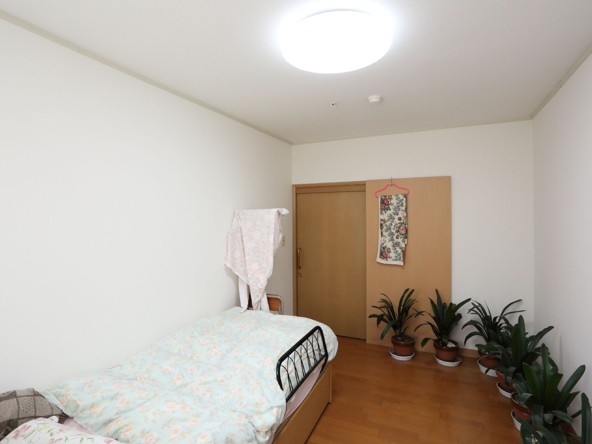 居室の様子。壁際に電動ベッドが置かれ、寝具が整えられている。反対の壁側には沢山の観葉植物が並べられている。