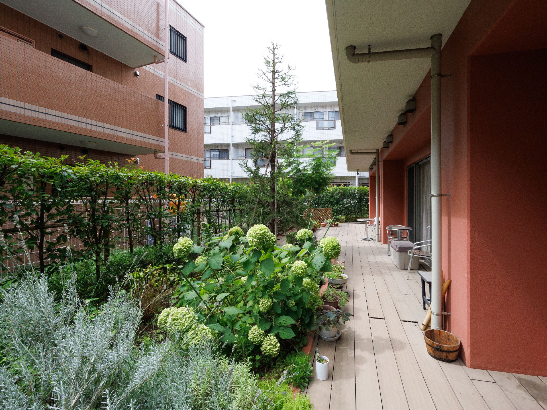 赤い壁の建物の側面に配置された植物が植えられた菜園スペース