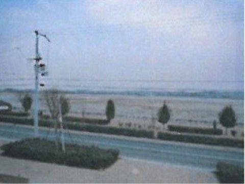 港を臨んだ景色。港沿いには道路や歩道もあり、植え込みの緑もあるので、気軽に散策が楽しめる場所である。