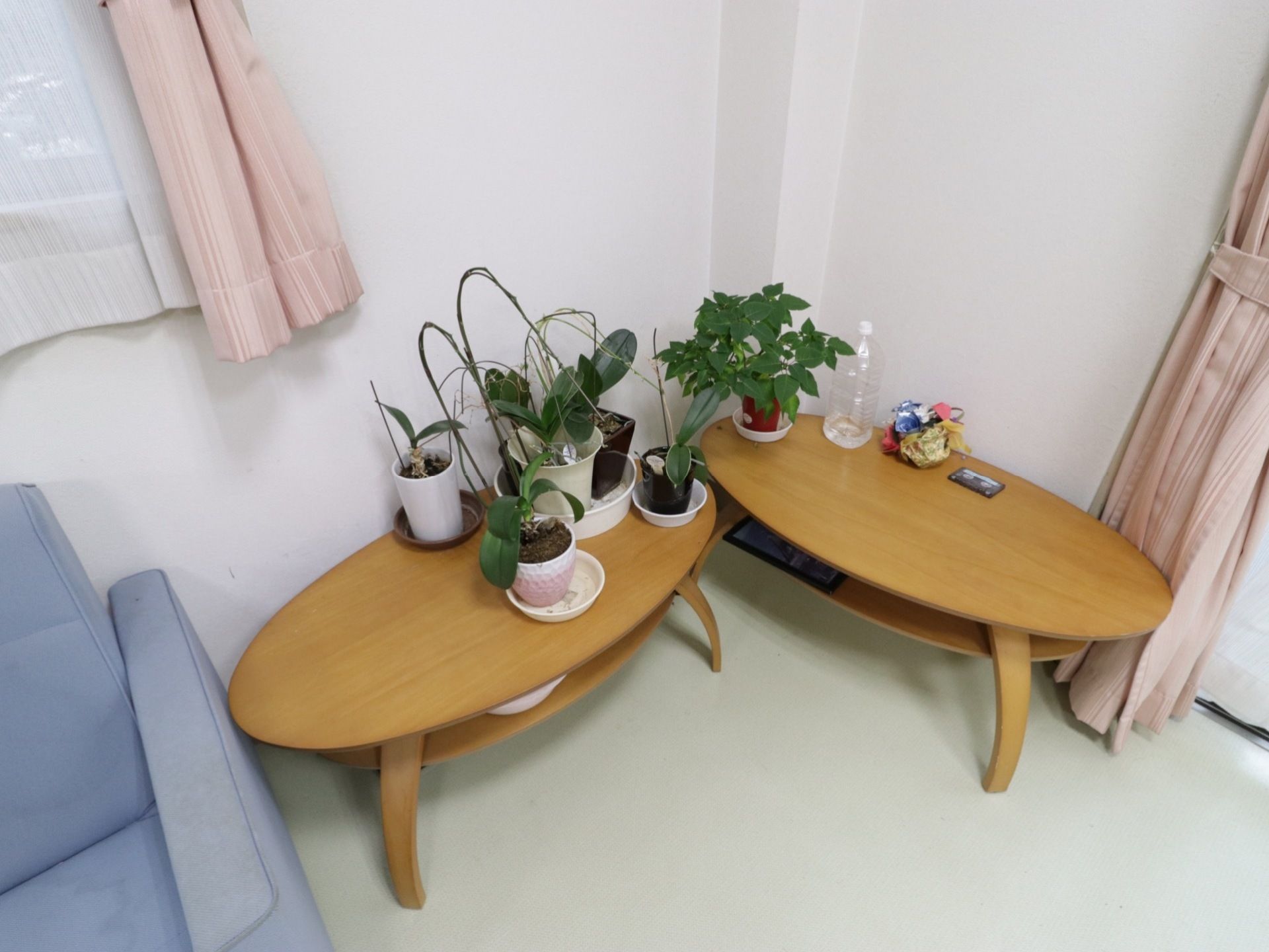 歓談スペースに置かれたテーブルの上には複数の植物が置かれている。室内でも緑が感じられる癒しの空間になっている。