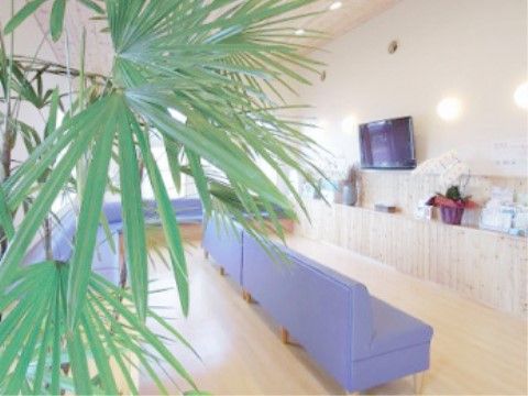 大きな観葉植物の向こう側にある、ソファが並ぶテレビが置かれたリビング