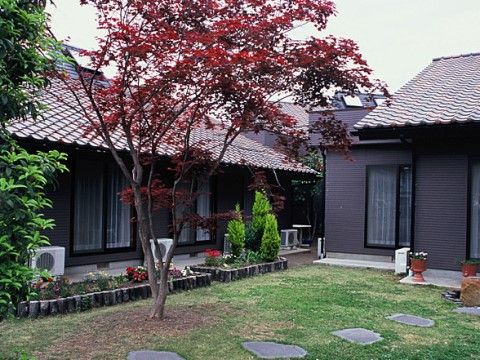 花が植えられている中庭