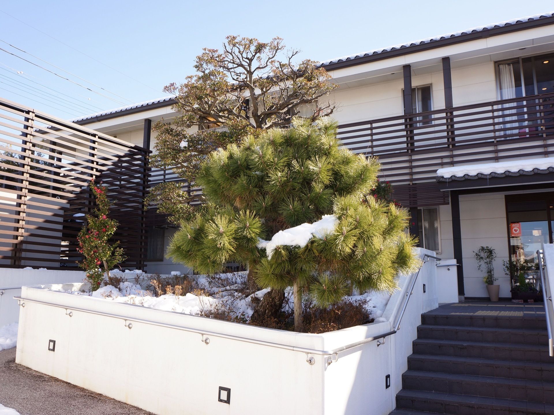 施設の建物前には、きれいに手入れされた植木があり、高く伸びている。階段には手すりがあり、ゆっくり登ることができる。