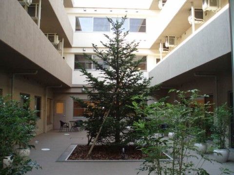建物の中庭に植えられている植栽と中央にあるシンボルツリー