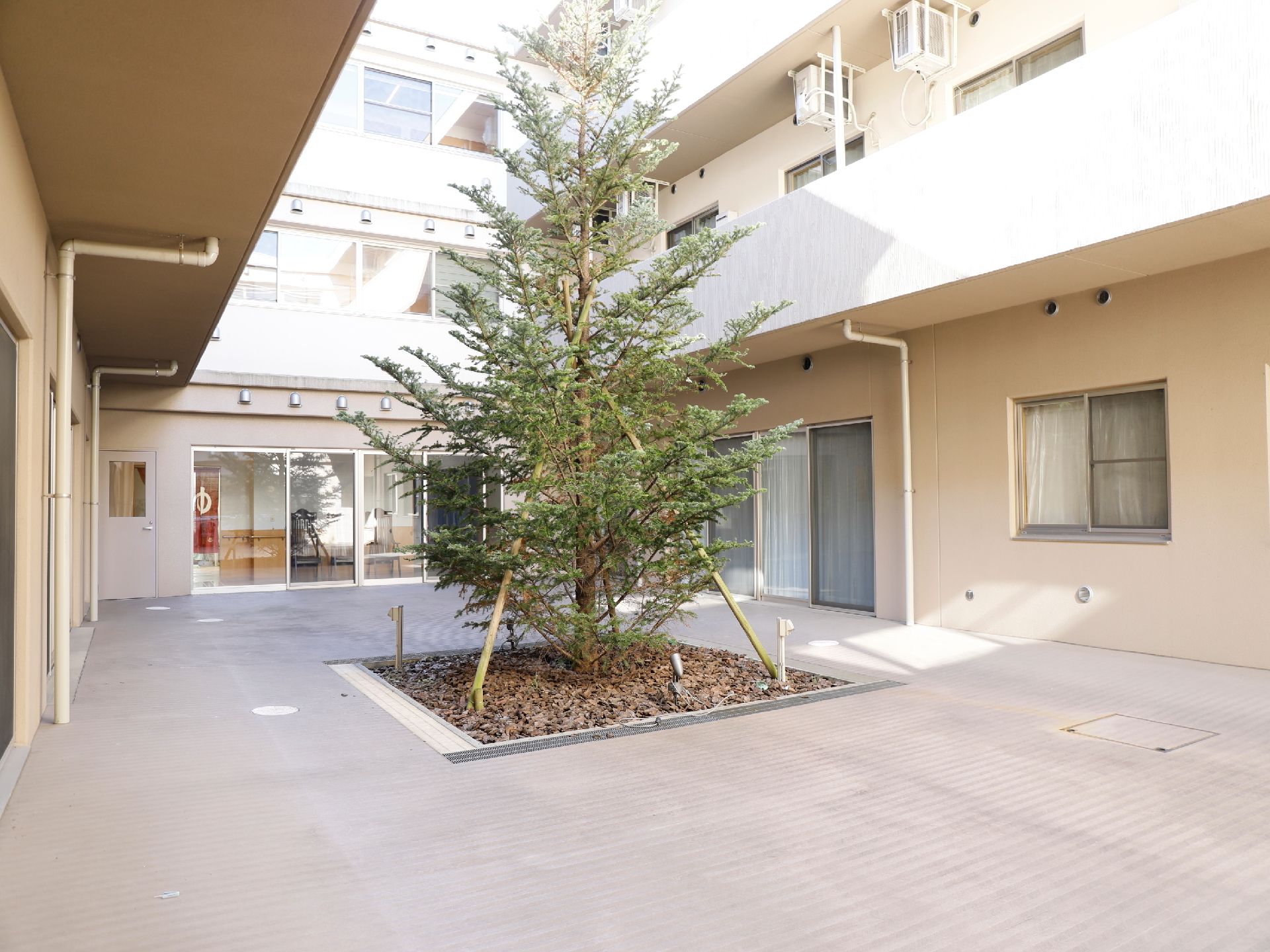中庭に木が植えてあり、鑑賞できるようになっている。色々な部屋から木を見ることができ、目の保養にもなる。