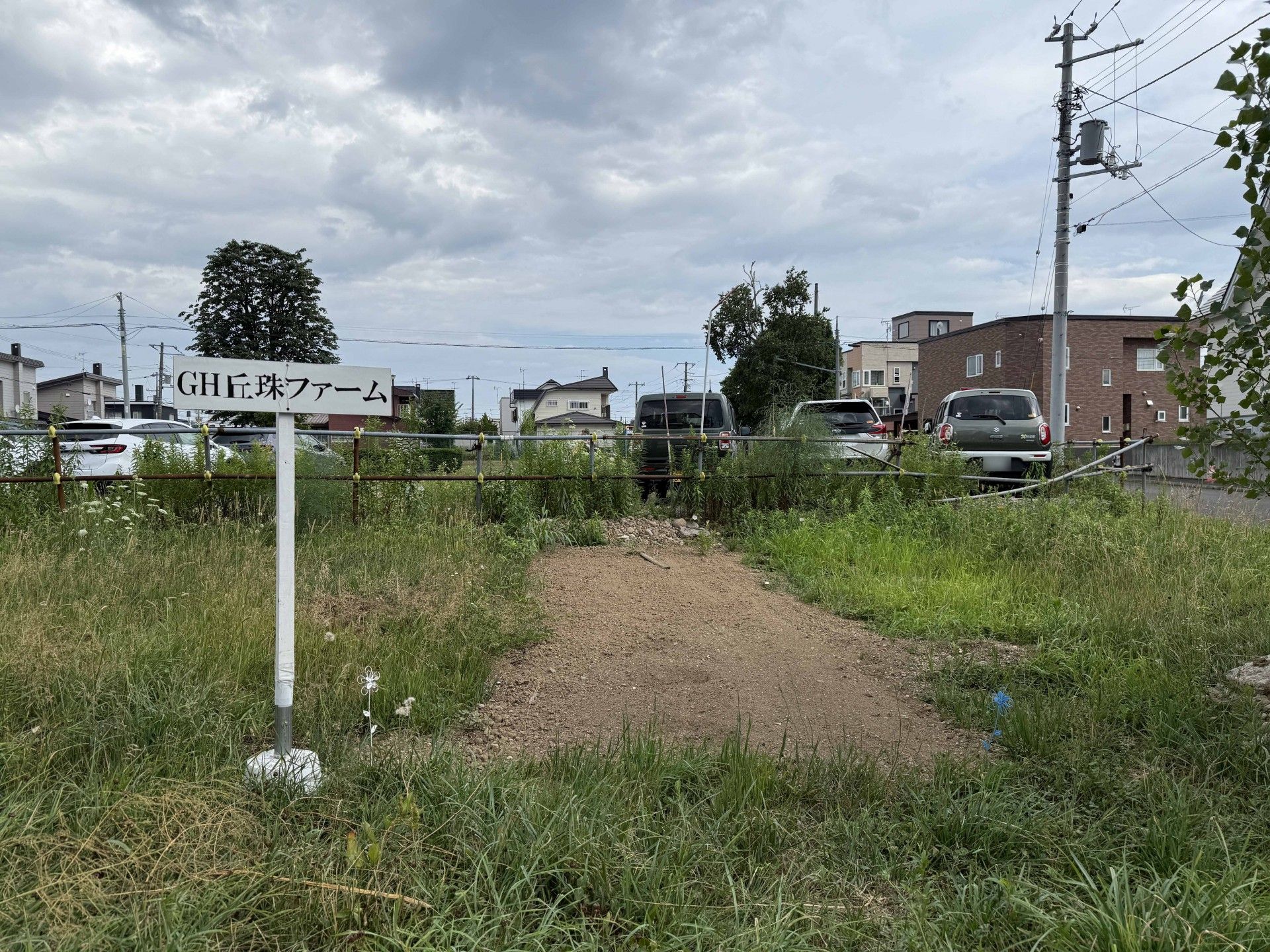 緑豊かな敷地の入口