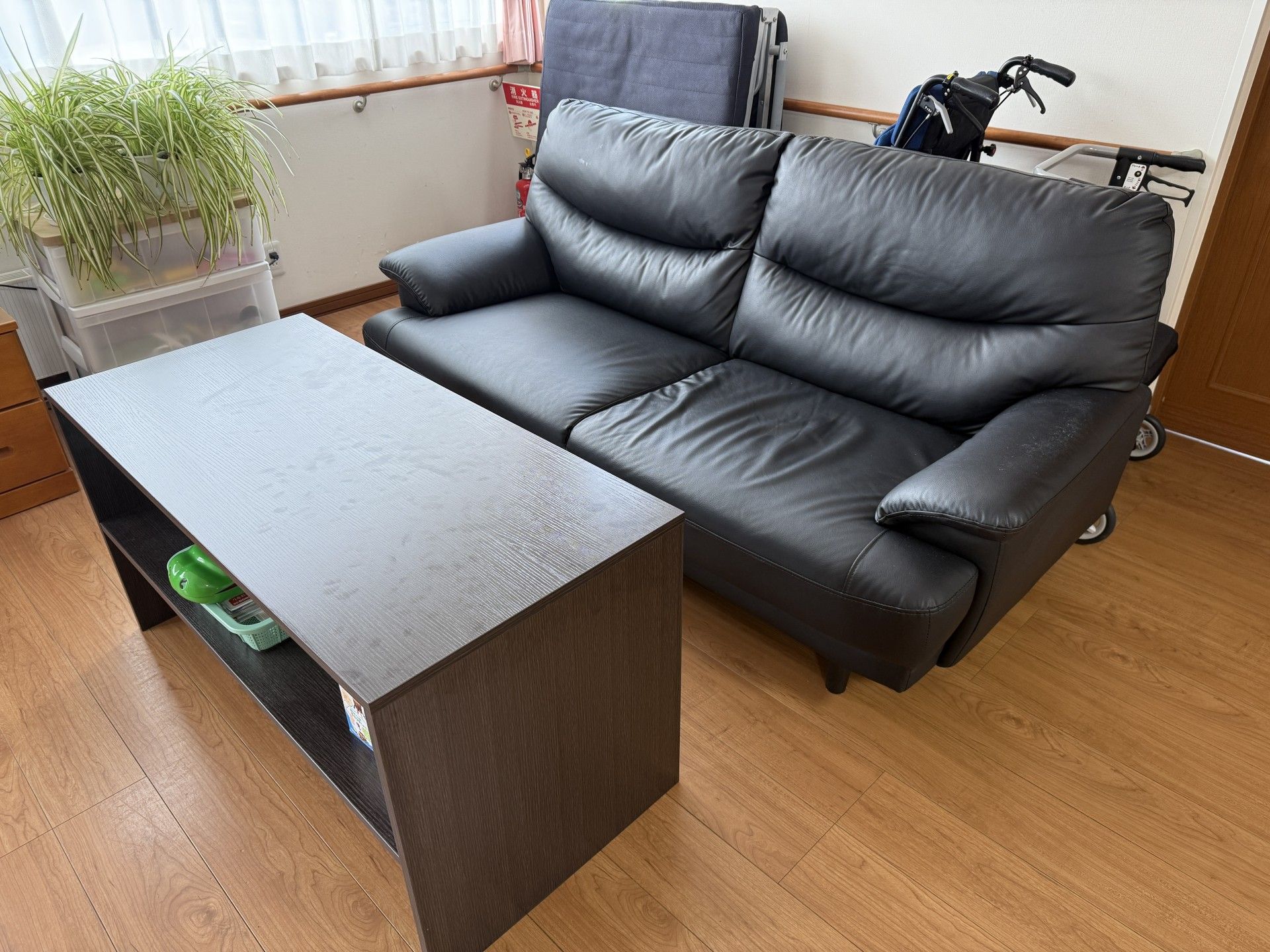 白い花の咲く道を散歩する車椅子に乗った高齢女性とヘルパー