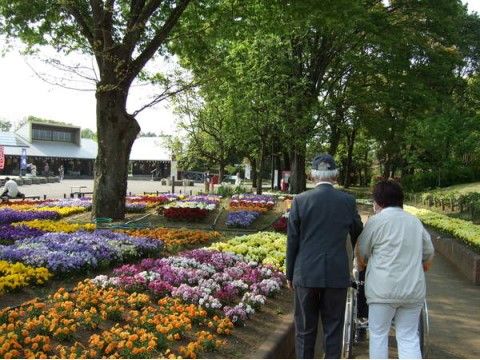 大きな木の下に広がる花壇のある小道を、車椅子を押して歩く女性と男性