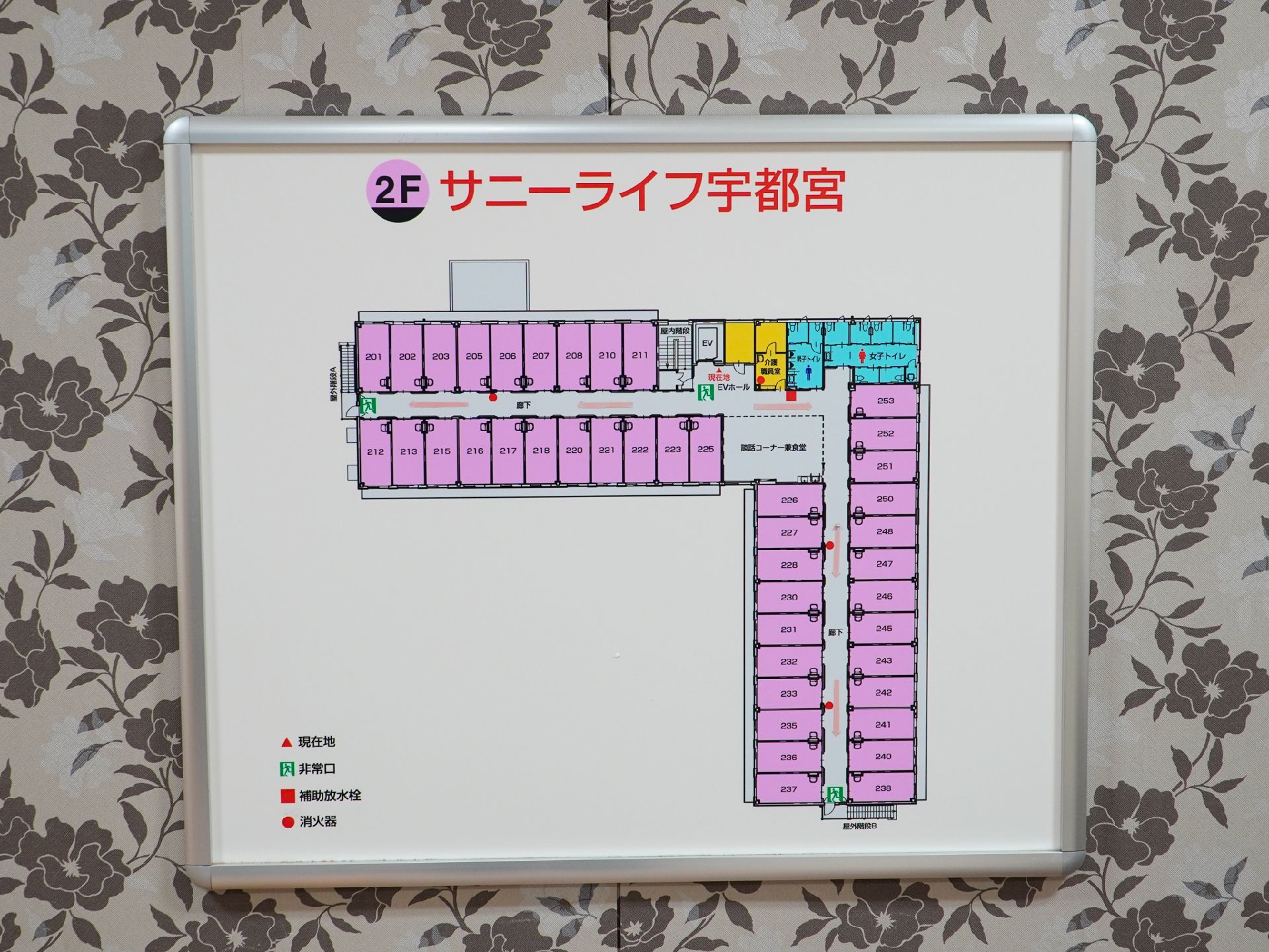 館内図