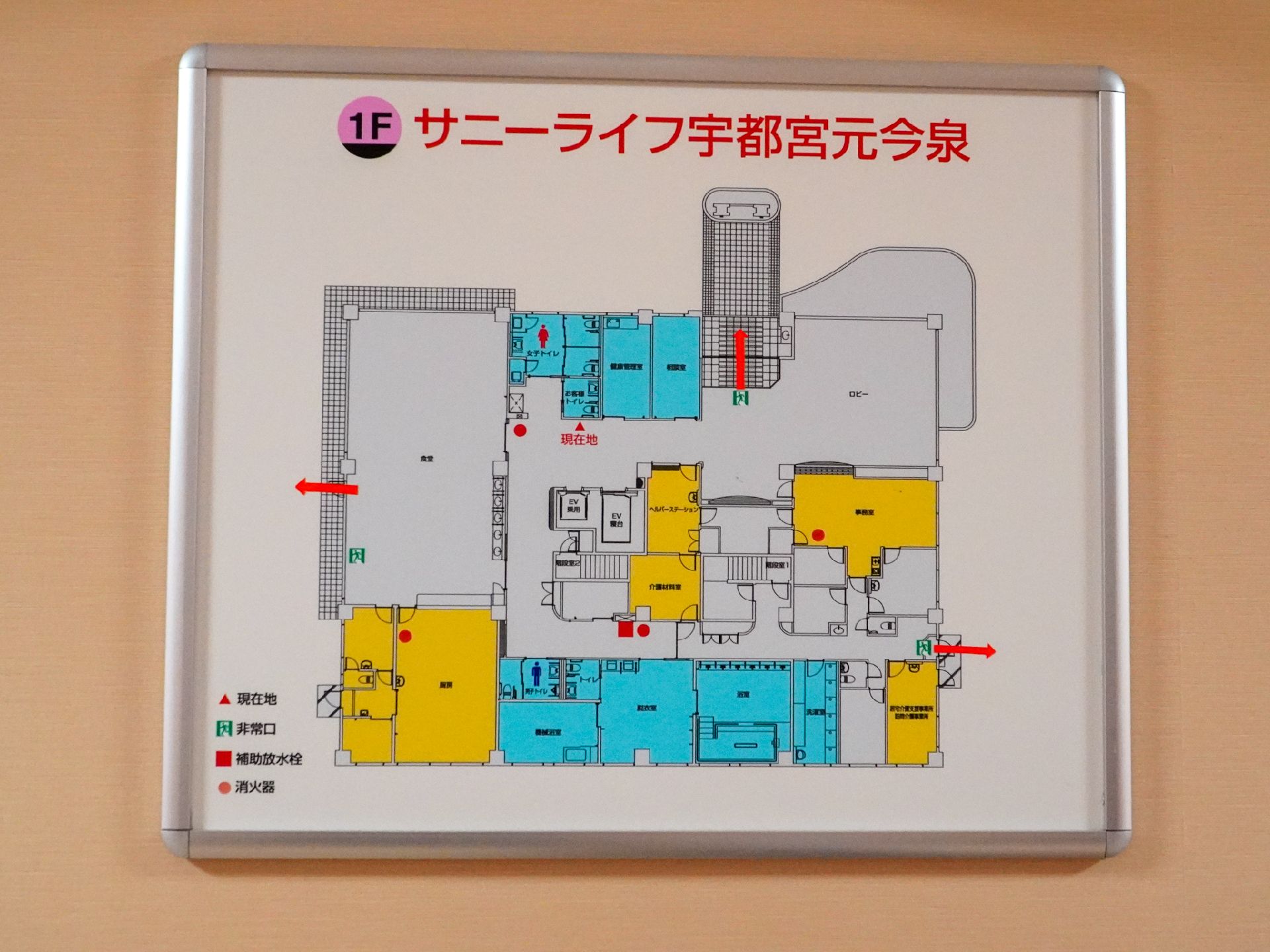 館内図