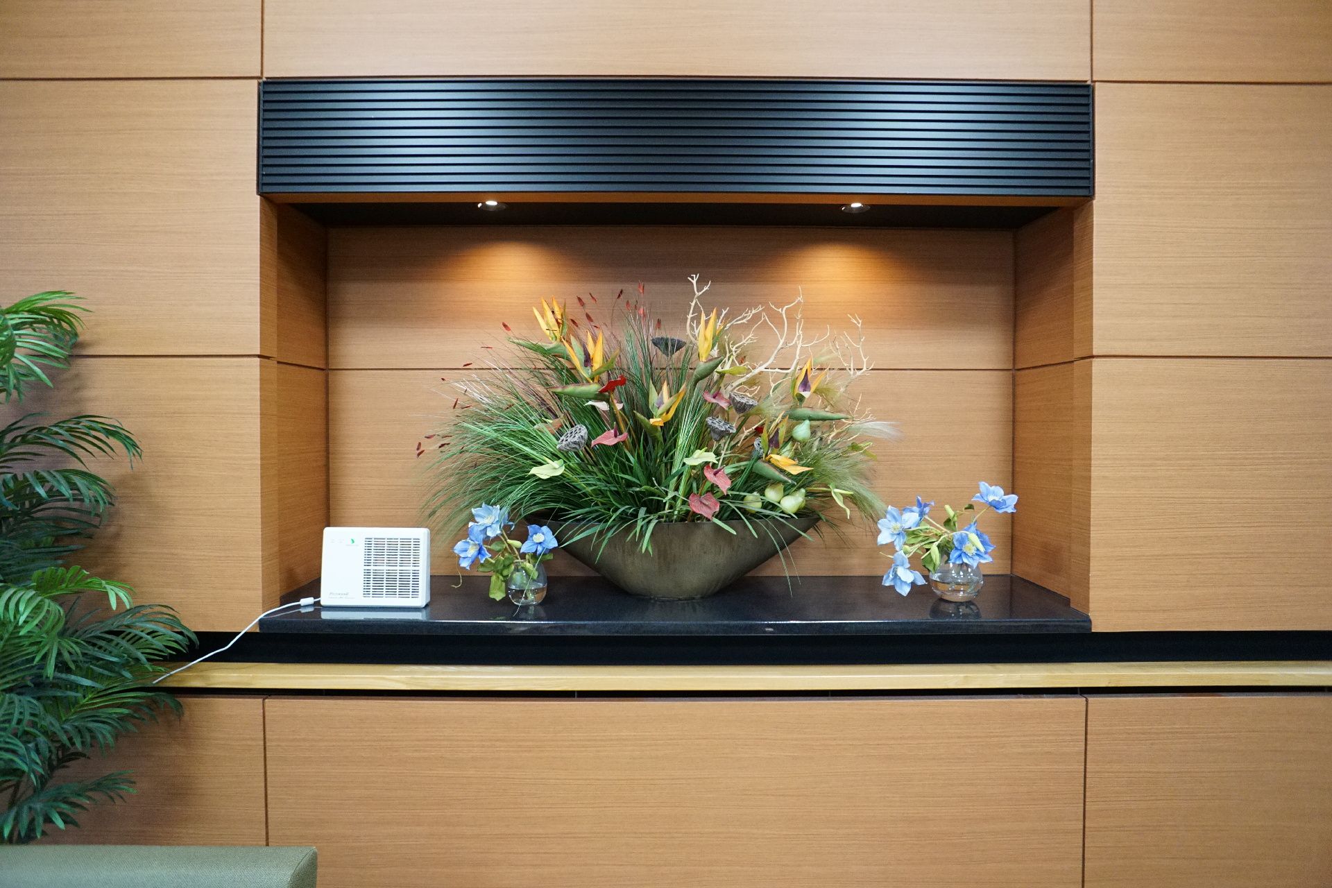 大きな植物が置かれた飾り付け