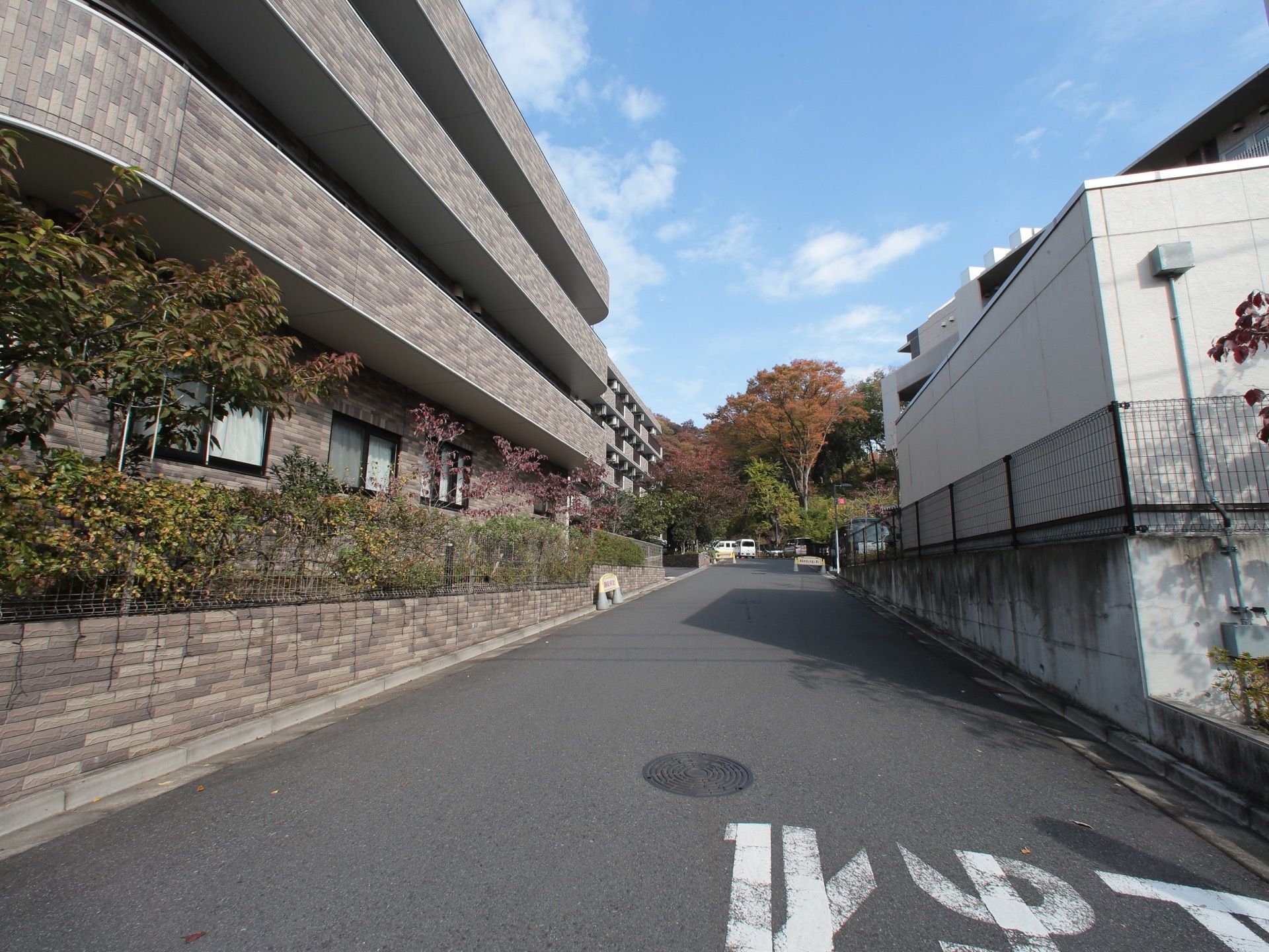真ん中に道路があり、その左手に観葉植物が植えられている施設の建物が建っている。道路の手前には「止まれ」の表示がついている。