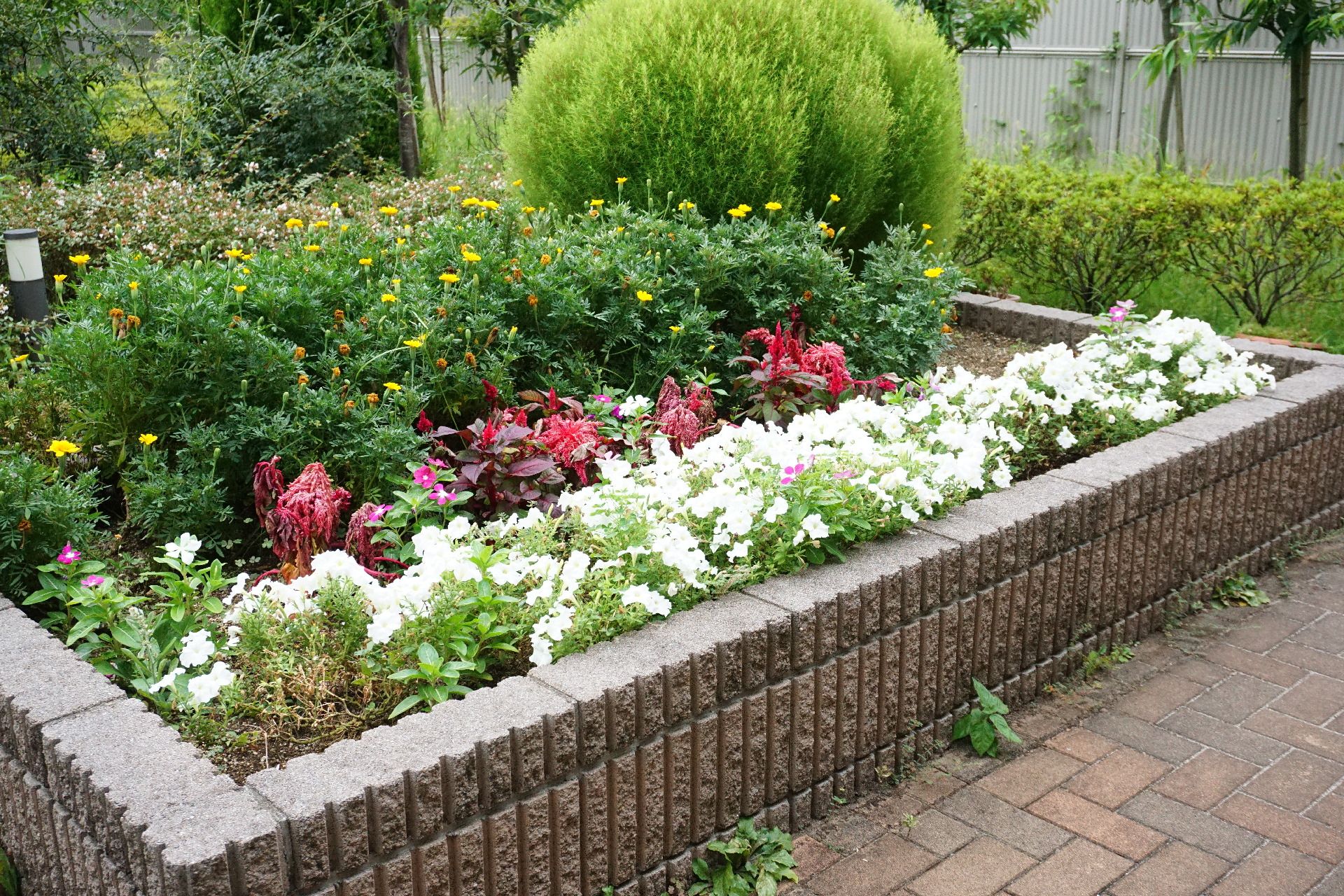 植物が多く植えられた見栄えの良い花壇