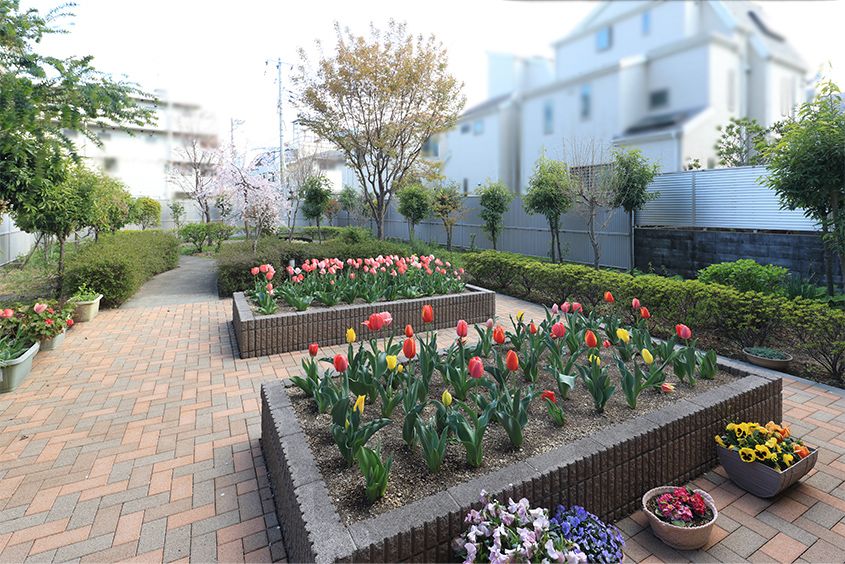 植物が多く植えられて整備されたウッドデッキ