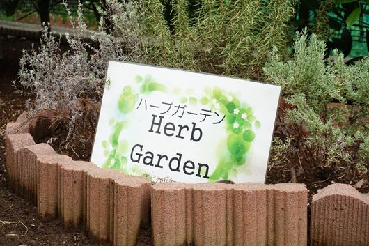 ハーブガーデン