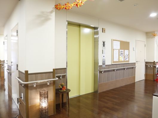 エレベーターや手すりが設置されている