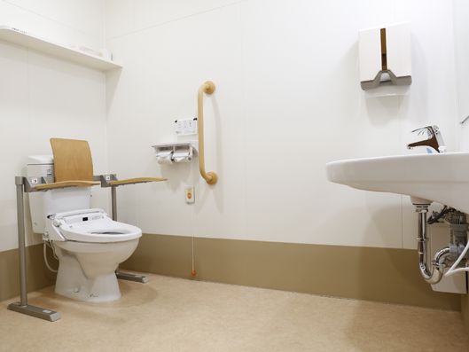 トイレの手すりと紙の手拭き