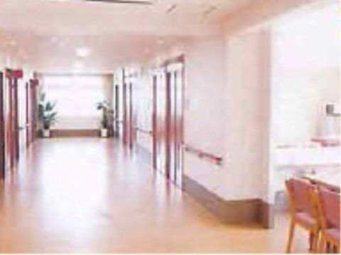 廊下の奥の大きめの窓からは明るい日差しが入り込んでおり、和やかな空間を形成している。窓の近くには観葉植物が飾られている。