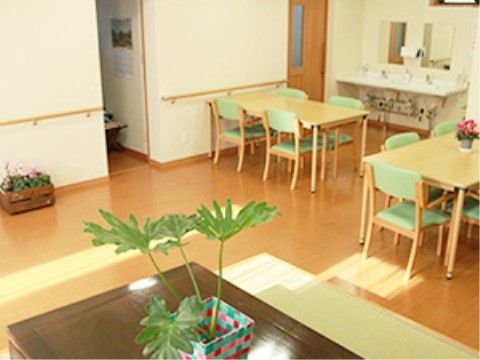 観葉植物や花が飾られており、テーブルと椅子、隅に洗面台があるリビング